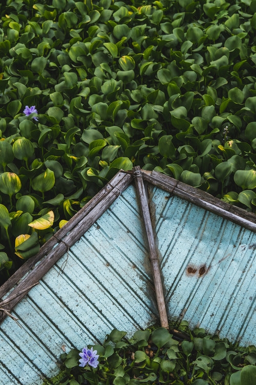 The beauty of central Vietnam praised in US newspaper