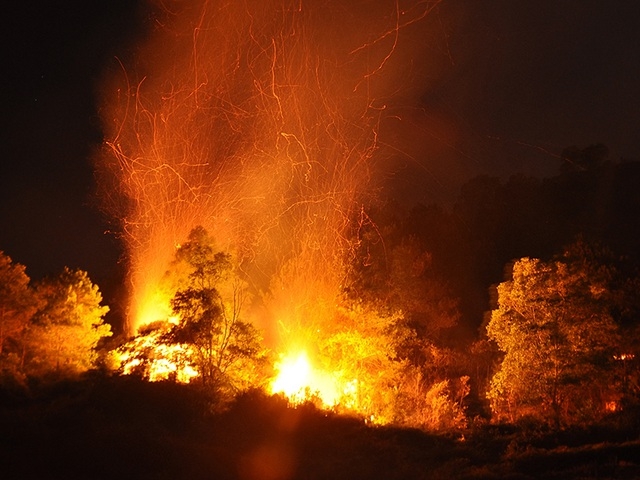 Fire engulfs forests in Nghe An, Ha Tinh provinces