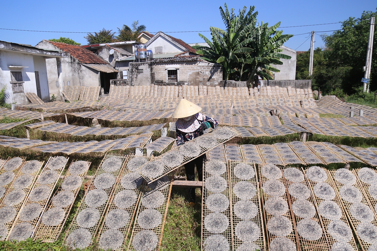 rice paper making under burning sun in central vietnam