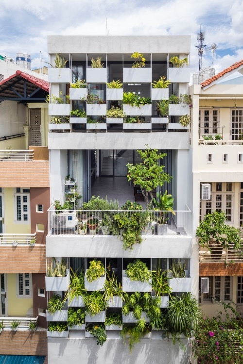 stylish vertical garden shields west facing house from baking sun