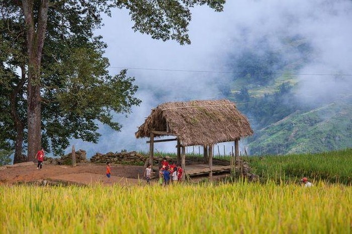 Top Vietnam Destinations: Year-round magical beauty of Y Ty - the northern highland Top Vietnam Destinations: Year-round magical beauty of Y Ty - the northern highland