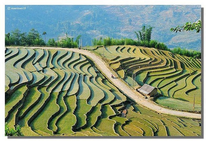 Top Vietnam Destinations: Year-round magical beauty of Y Ty - the northern highland Terraced rice field