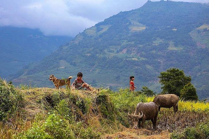 Top Vietnam Destinations: Year-round magical beauty of Y Ty - the northern highland Top Vietnam Destinations: Year-round magical beauty of Y Ty - the northern highland