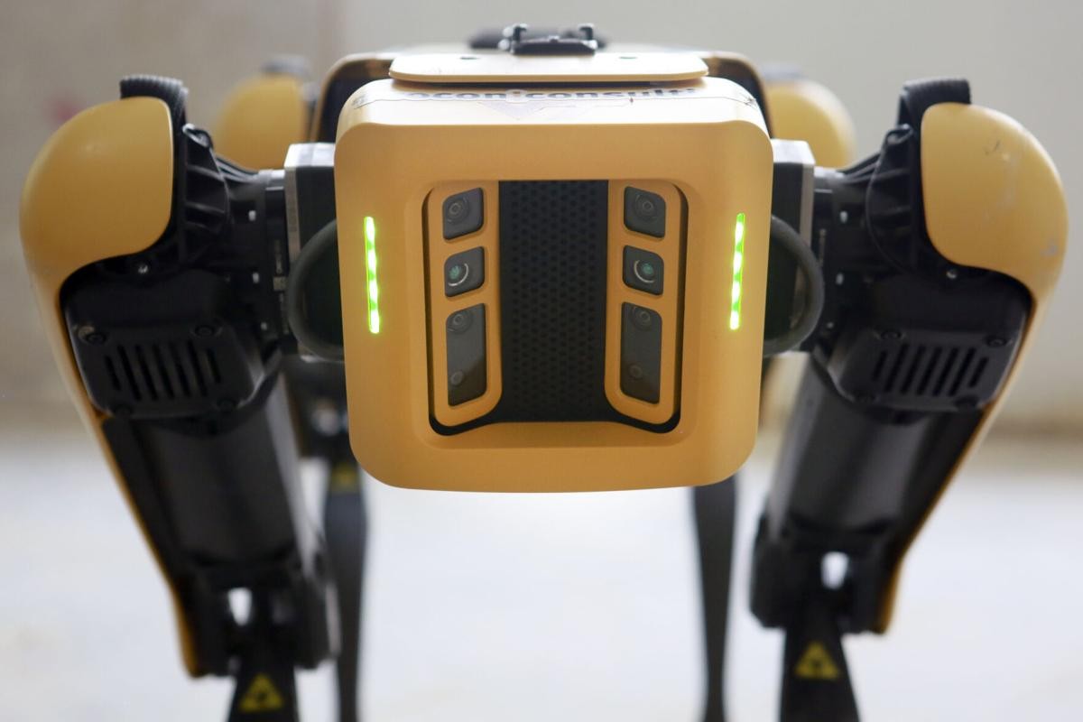Dog-like Robot Sparks Debate in the US