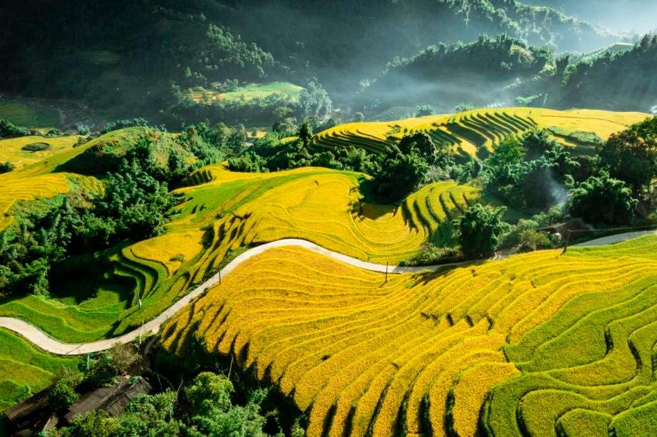 A Quiet Sapa in Ripening Rice Season