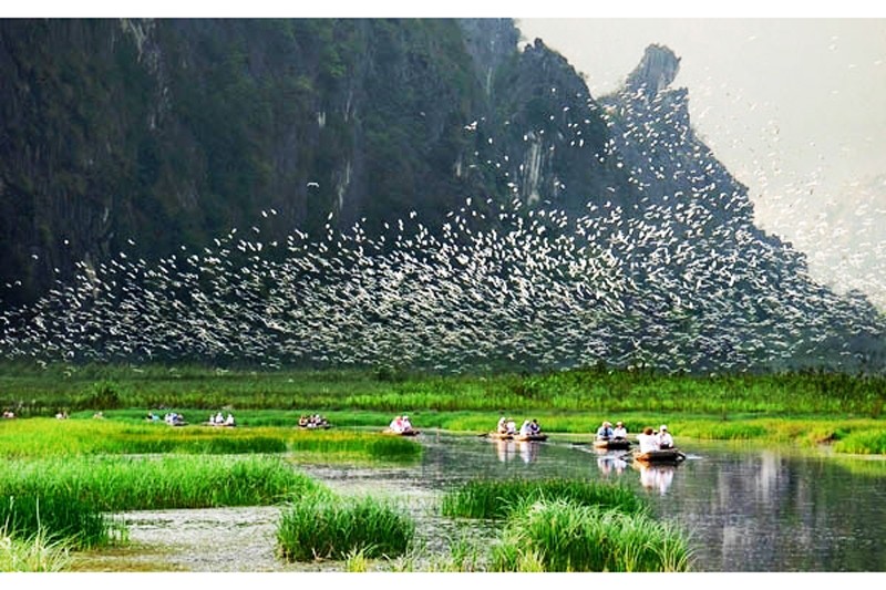 Discover the Attractiveness of Thung Nham Bird Garden