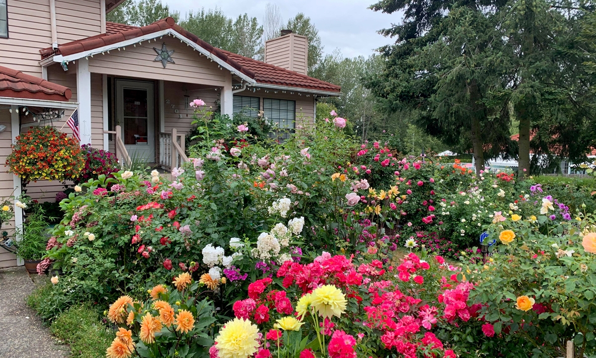 undefined Lien's colorful flower garden at the facade of her house