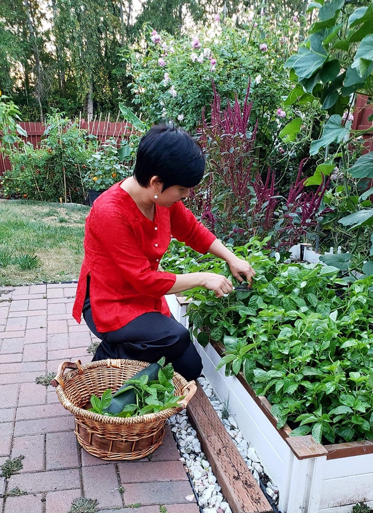 Dreamlike Vietnamese garden in the US Dreamlike Vietnamese flowers and veggies garden in the US
