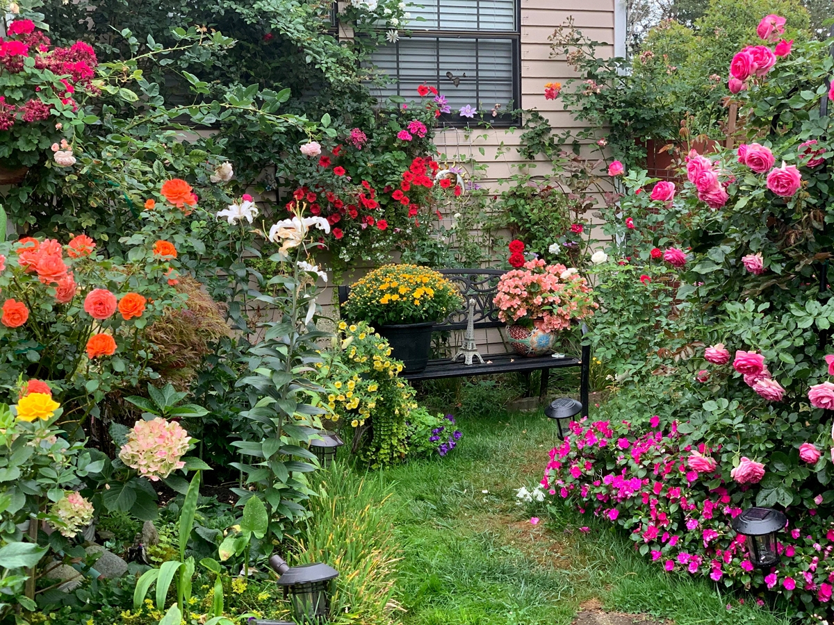 Dreamlike Vietnamese garden in the US Dreamlike Vietnamese flowers and veggies garden in the US