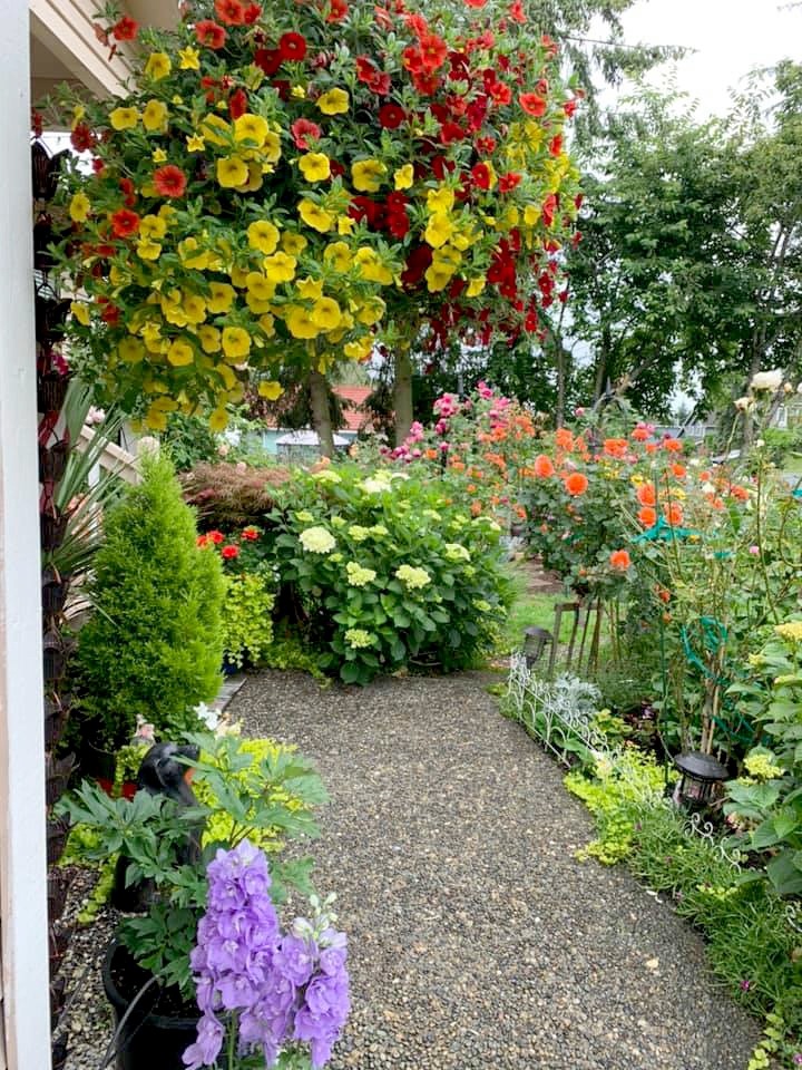Dreamlike Vietnamese garden in the US Dreamlike Vietnamese flowers and veggies garden in the US