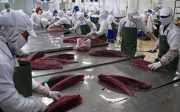 vietnams tuna exports to eu skyrocket thanks to free trade agreement