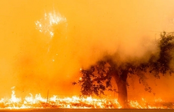 In photos: Wildfire devastates California, traumatizes residents