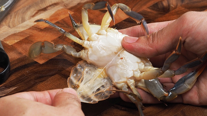 Move the shell out