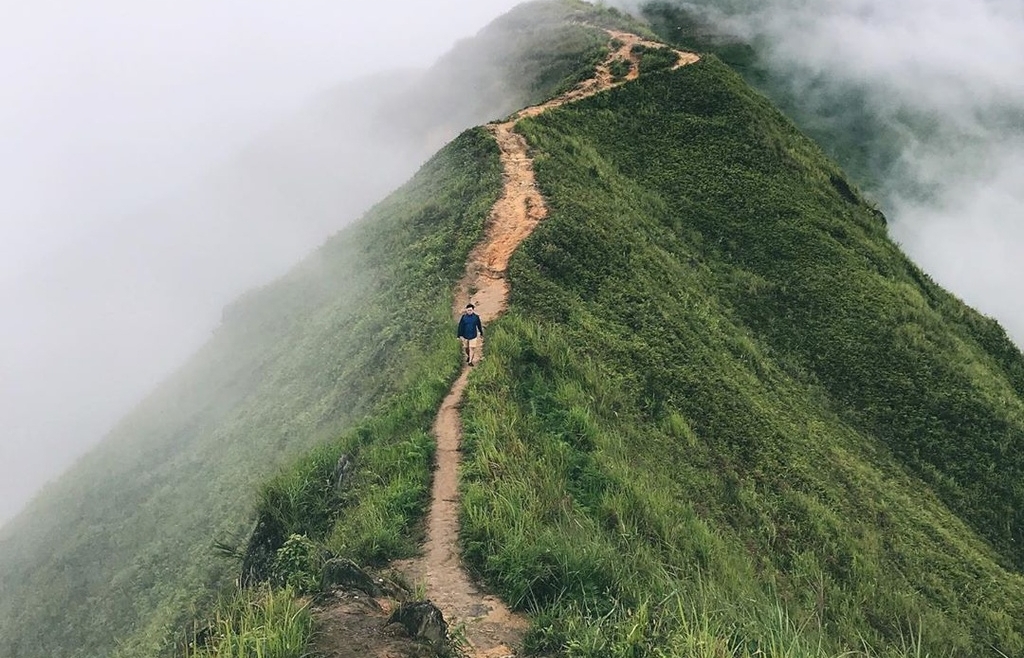three stunniest dinosaur backbones in northern vietnam