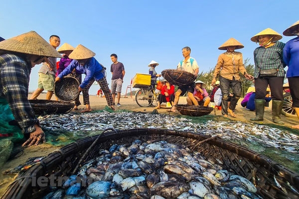 off the beaten track fishing village in sam son beach