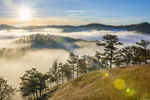 5 must conquer places for captivating cloud hunting adventure in da lat