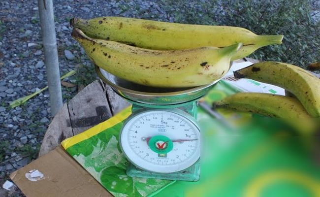Weirdly giant fruits in Vietnam lesser known to local people Weirdly giant fruits in Vietnam lesser known to local people
