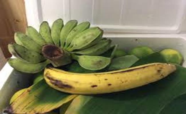 Weirdly giant fruits in Vietnam lesser known to local people Weirdly giant fruits in Vietnam lesser known to local people