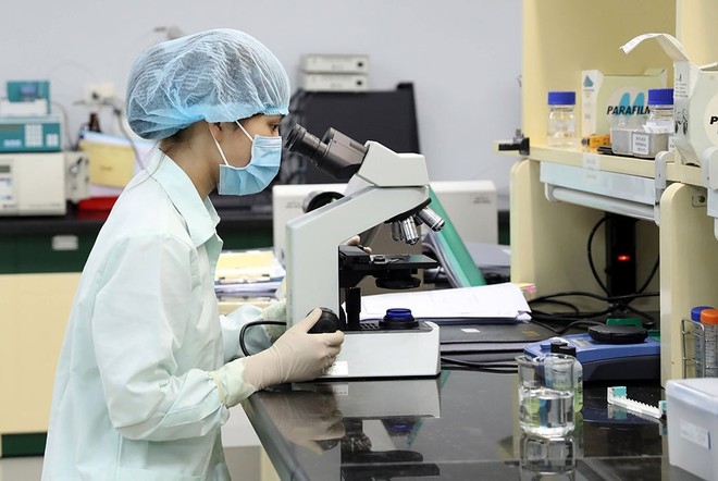 A researcher evaluating the effectiveness and stability of Vabiotech's COVID-19 vaccine (Photo: Ministry of Health) 