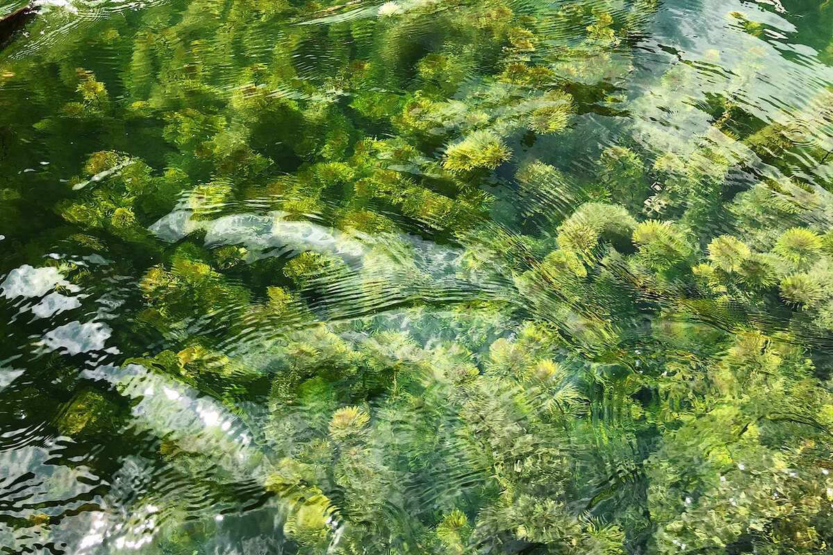 Get a chill weekend with a trip to Trang An