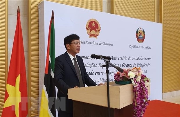 celebration marks 45 years of vietnam mozambique diplomatic ties