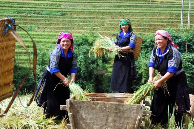 Poverty rate in Viet Nam declines sharply from over 70% to below 6% (Photo: VGP)  