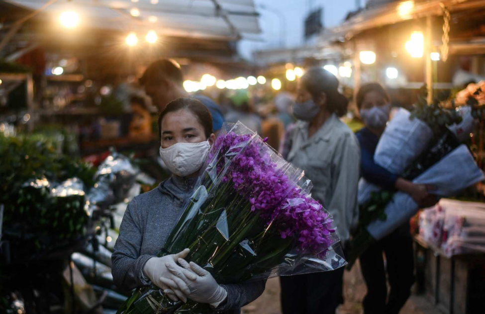 vietnam covid 19 updates jan 13 five new imported cases reported