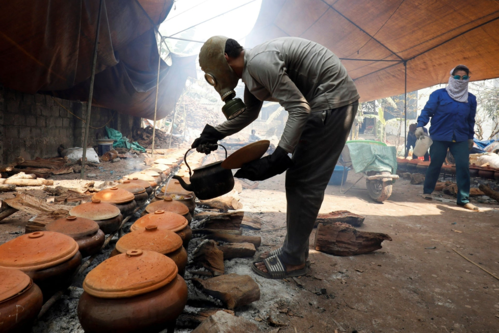 vietnams vu dai stew fish gets in guardian top lunar new year photos