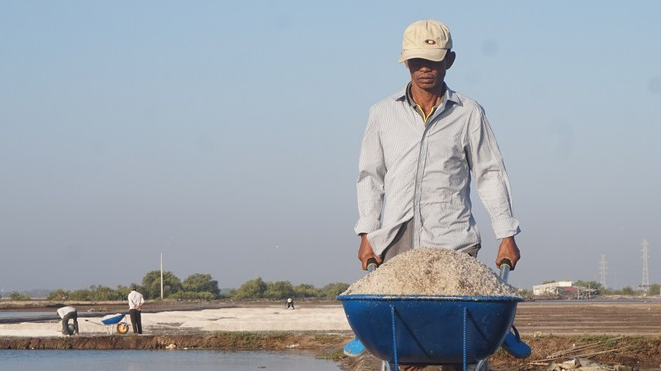 The profession of salt producing in the South of Vietnam