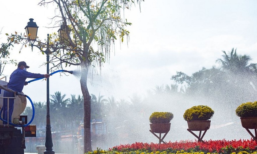 Spring Comes to Hoi An Old Streets