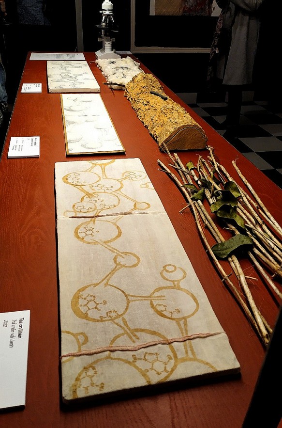 Exhibition of a Belgian artist: Where Scientific Approach Meets Vietnam Inspiration