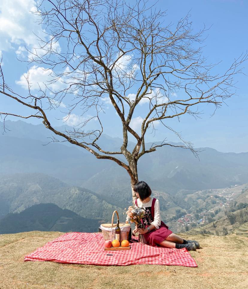 fresh check in sites for those who love sa pa