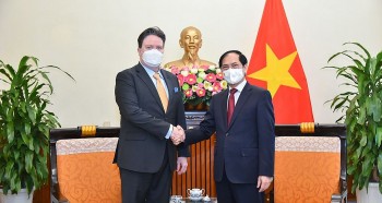 Vietnam, USA Review Positive Development of Comprehensive Partnership