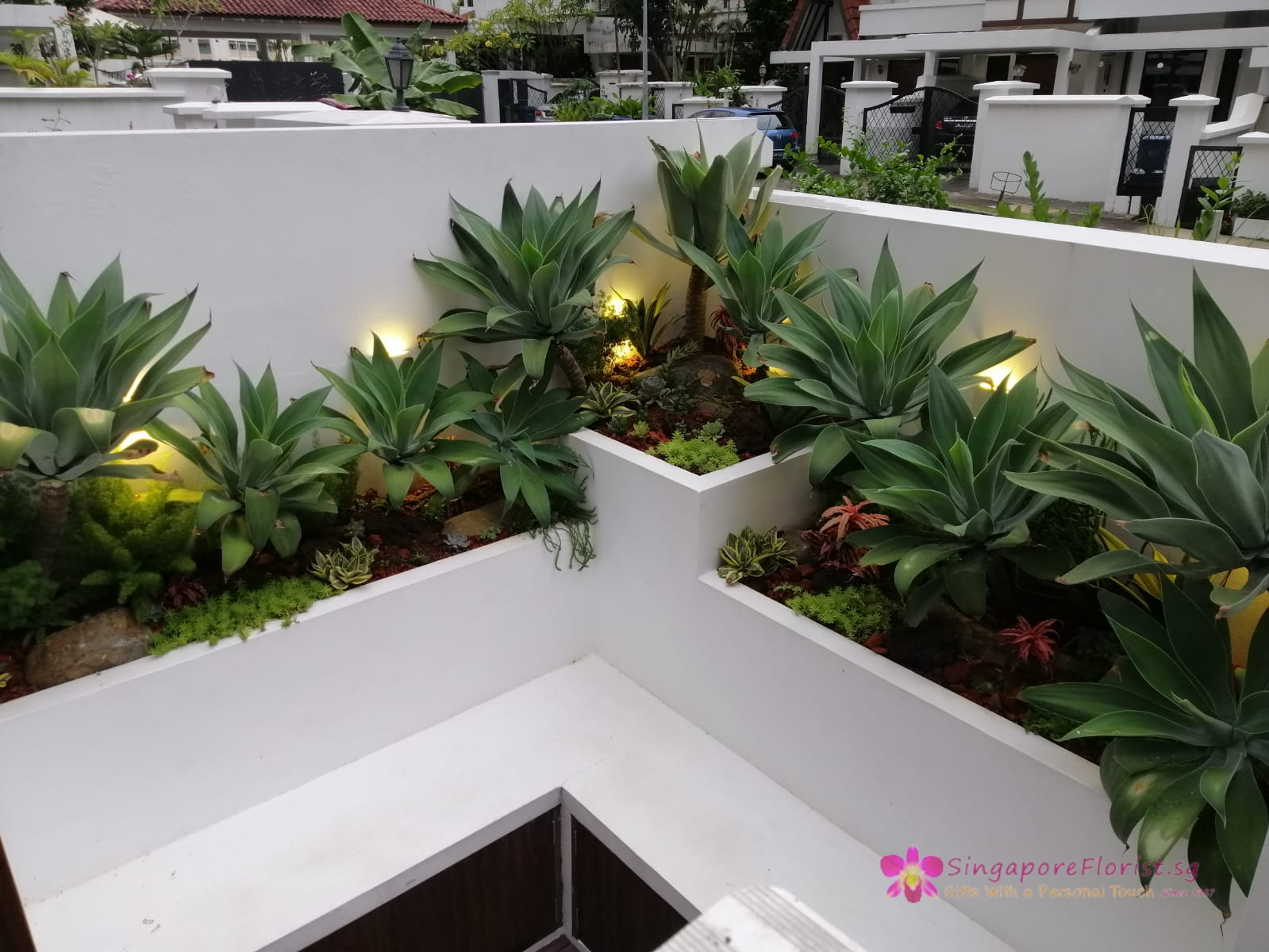 primula florist expands business offerings launches landscape design services