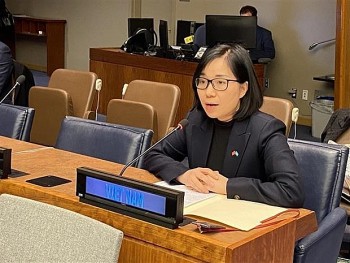 Vietnam Re-affirms Support for Disarmament, Non-proliferation of Nuclear Weapons