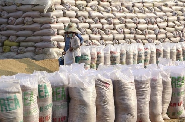 Vietnam would remain world’s second largest rice exporter: US department of Agriculture