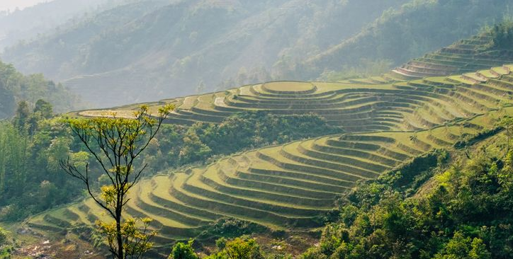 Ukrainian photographer 'fell in love' with Vietnam after traveling around Asia Ukrainian photographer 'fell in love' with Vietnam after traveling around Asia