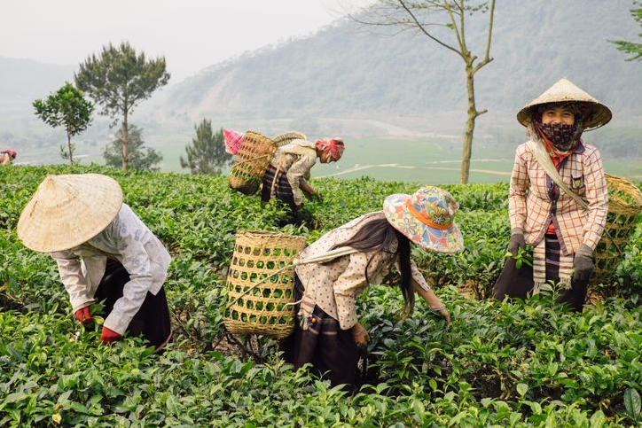 Ukrainian photographer 'fell in love' with Vietnam after traveling around Asia Ukrainian photographer 'fell in love' with Vietnam after traveling around Asia