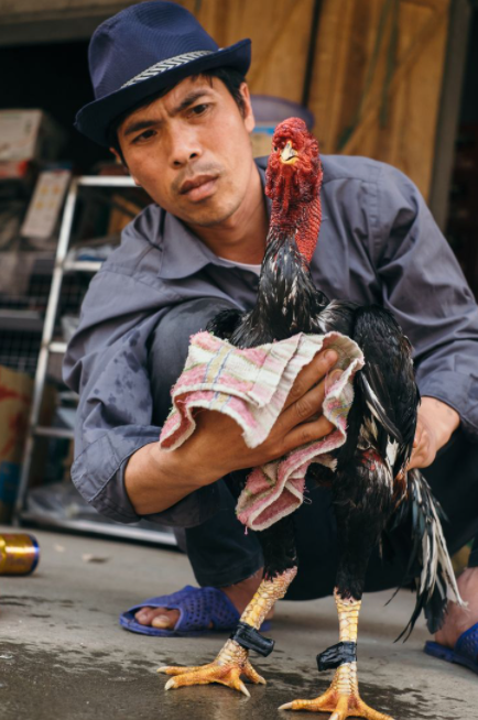 Ukrainian photographer 'fell in love' with Vietnam after traveling around Asia Ukrainian photographer 'fell in love' with Vietnam after traveling around Asia