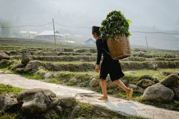 Ukrainian photographer 'fell in love' with Vietnam after traveling around Asia Ukrainian photographer 'fell in love' with Vietnam after traveling around Asia