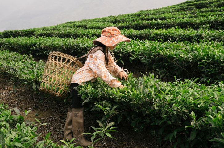 Ukrainian photographer 'fell in love' with Vietnam after traveling around Asia Ukrainian photographer 'fell in love' with Vietnam after traveling around Asia