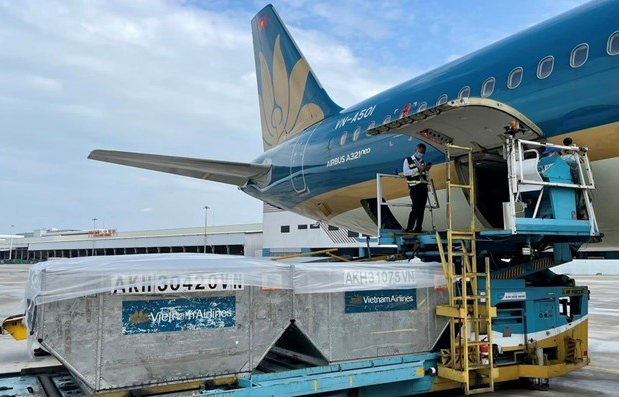 Vietnam Covid-19 Updates (June 8): 235 new cases, overseas Vietnamese continue to support