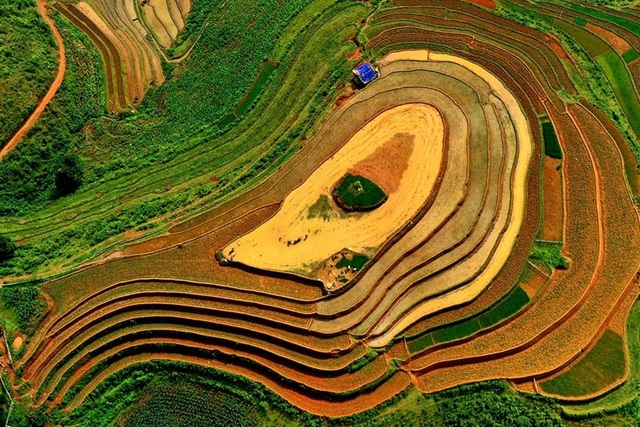 mu cang chai terraced fields in irrigation season not to miss tourism destinations