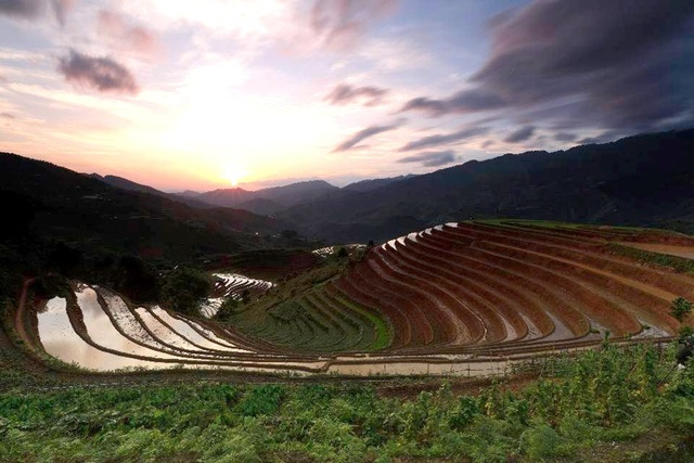 mu cang chai terraced fields in irrigation season not to miss tourism destinations