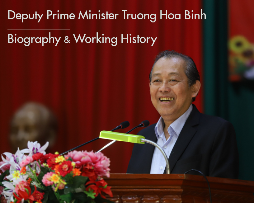 Biography of Deputy Prime Minister Truong Hoa Binh: Positons and Working History