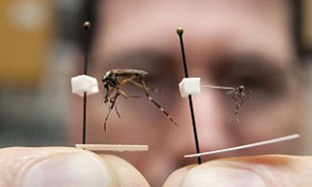 china battles another virus seven dead 60 infected