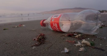 12 Most Polluting Companies in the World: Coca-Cola, PepsiCo, McDonalds, Heineken