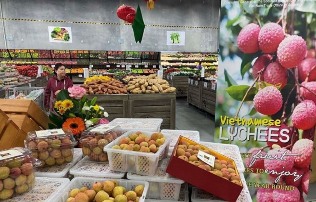 vietnams farm produce exports to australia surge