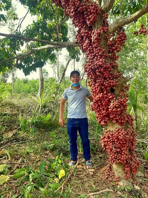 Enjoying Sweet Fruits from the 