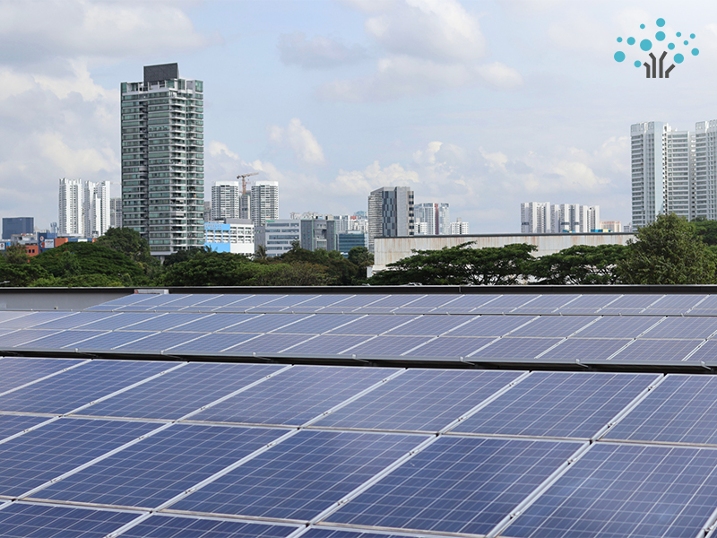pmces solar expansion brings solar solutions to small business buildings